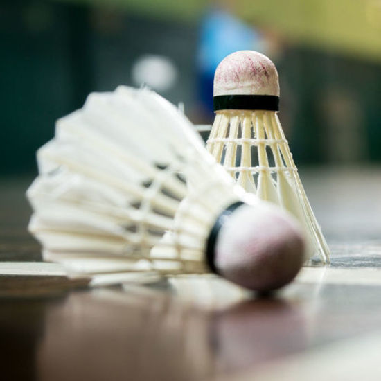 Bild von Badmintonfeld