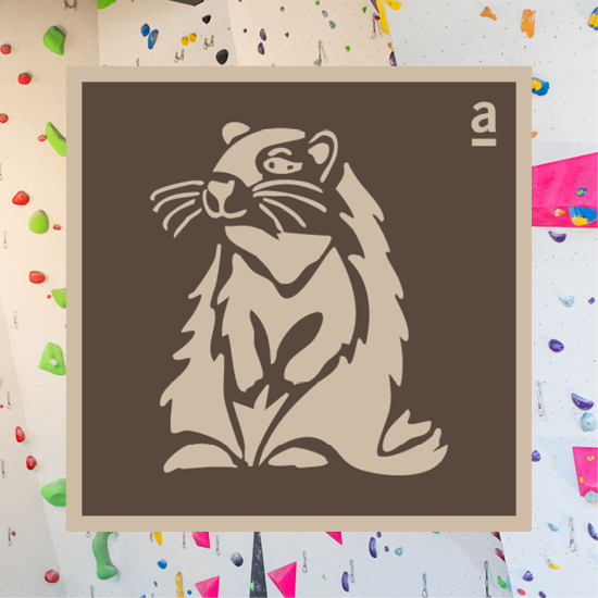 Bild von Klettern Murmeli