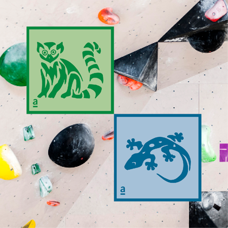 Bild für Kategorie Bouldern Trainingsgruppe