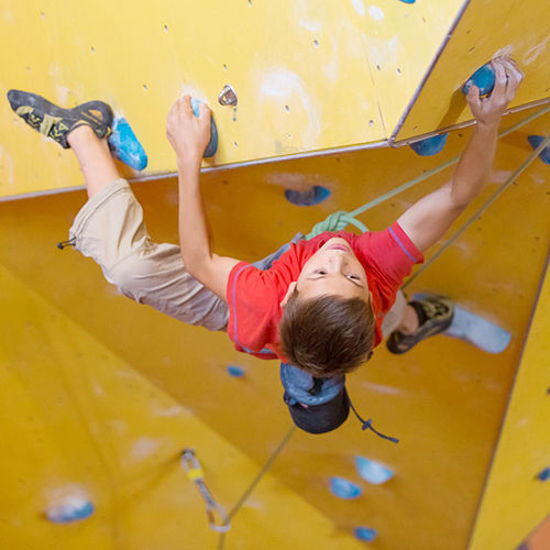 Bild von Trainingsgruppe Klettern Kids / Junior