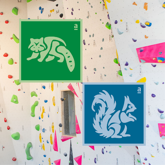 Bild von Trainingsgruppe Kids & Junior